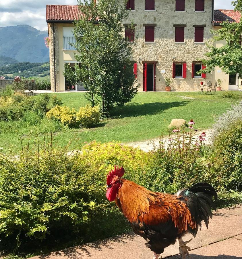 Agriturismo Lemire San Pietro Di Feletto Exterior photo